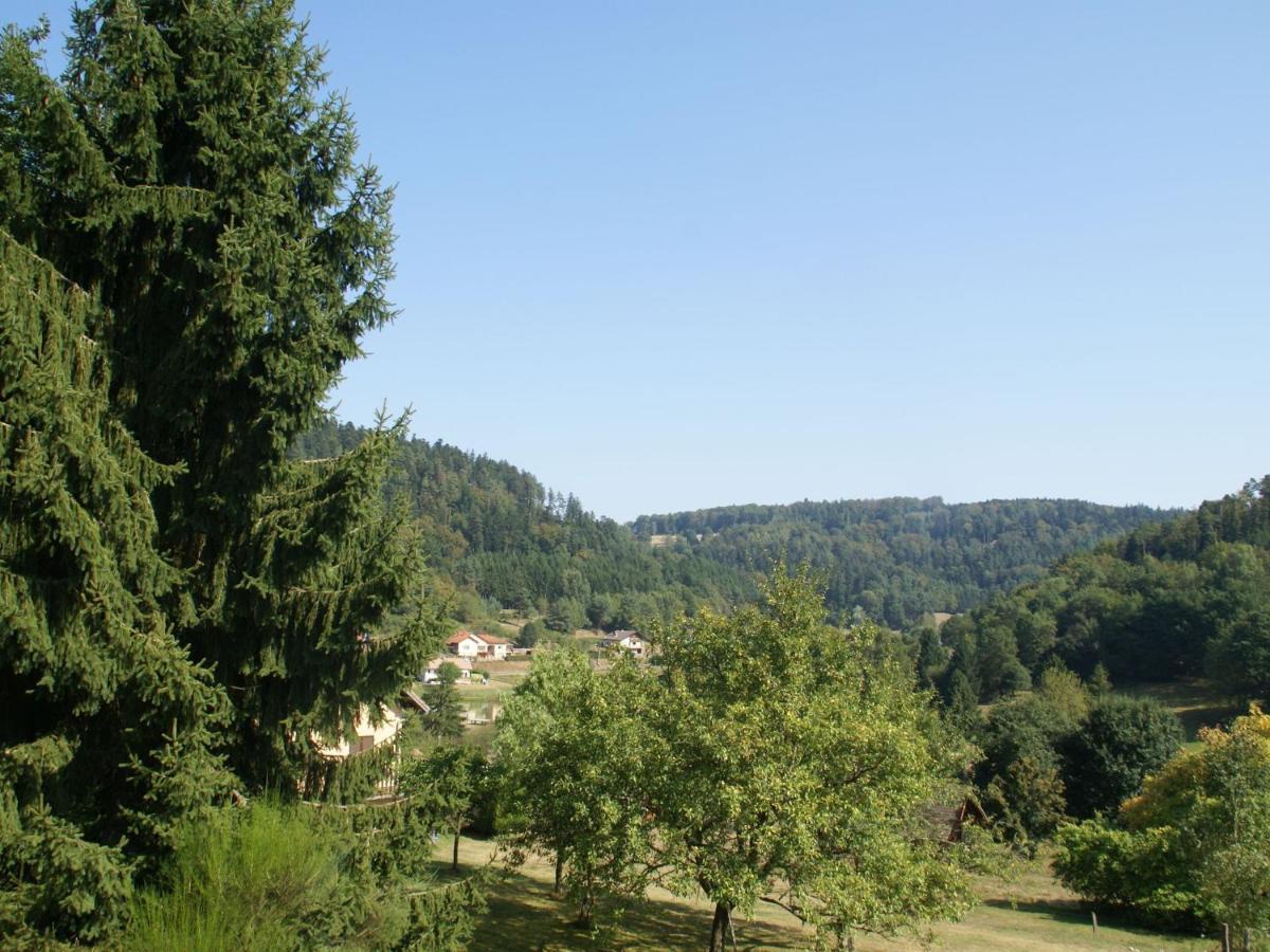 Charming Chalet In Ventron With Terrace Pokój zdjęcie