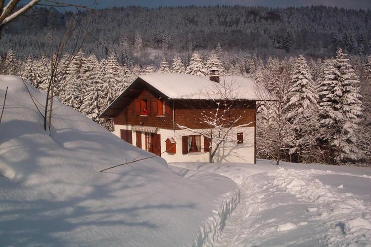 Charming Chalet In Ventron With Terrace Zewnętrze zdjęcie